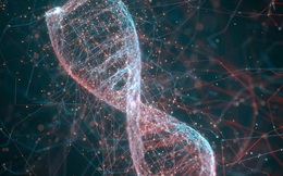 Nhà khoa học Trung Quốc tạo ra máy tính từ ADN, tính được căn bậc hai của 900