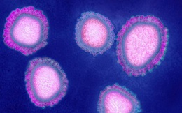 Đây là 8 điều quan trọng bạn cần biết về virus Vũ Hán: Nó lây nhiễm thế nào, phòng chống ra sao?