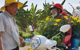Thương lái "bùng" 3.000 chậu hoa vạn thọ của lão nông Sài Gòn vào 28 Tết, cộng đồng mạng chung tay mua sạch