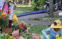 Sau khi tiểu thương ở Sài Gòn đập chậu, ném hoa vào thùng rác, nhiều người tranh thủ chạy đến "hôi hoa"