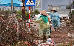 Hà Nội: Mưa gió chiều 30 Tết lại bị ép giá, người buôn đào quất quyết vặt trụi hoa quả và bỏ lại "núi" rác