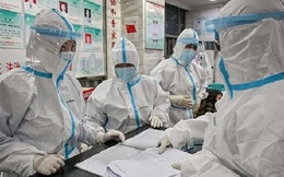 Bộ Y tế: Trong vòng 2h, Australia, Singapore, Nhật Bản, Canada cùng tăng số ca mắc virus Corona