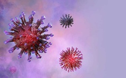Thông tin cập nhật: Việt Nam có 10 ca nhiễm virus corona, số trường hợp nghi nhiễm lên 361 người