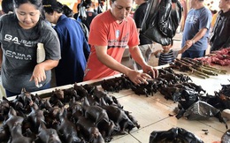 Khu chợ "đáng sợ nhất" của Indonesia loại dơi khỏi danh sách mặt hàng vì ám ảnh dịch cúm