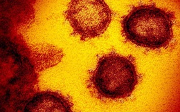 SCMP: Phát hiện SARS-COV-2 có đột biến gen giống HIV và Ebola, hứa hẹn tìm ra cách chữa trị hiệu quả