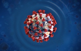[Infographic] 13 tin đồn sai sự thật về virus corona: WHO giải thích tại sao chúng đều phản khoa học