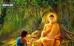 Mời Đức Phật đến nhà, cô gái bị coi là lẳng lơ, song chỉ với 1 câu hỏi Ngài đã hóa giải được tình thế