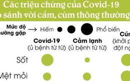 [Infographic] Làm thế nào để biết bạn đã mắc Covid-19 hay chỉ bị cảm cúm thông thường?