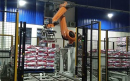 Mục sở thị hệ thống robot đóng bao thay thế 4 - 5 nhân công cùng lúc trong một dây chuyền sản xuất
