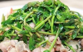 3 loại rau quả đắng nhưng tốt ngang thuốc quý
