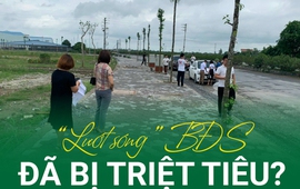 Sốt đất có bị triệt tiêu?