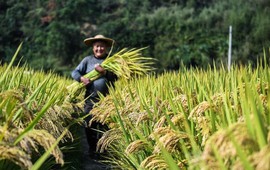 Lý do Trung Quốc đang đau đầu tìm cách "nuôi" 1,4 tỷ dân