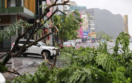 Những thiệt hại ban đầu khi bão số 2 đổ bộ Quảng Ninh