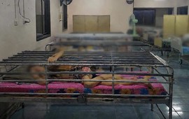 Thái Lan: Trung tâm chăm sóc dùng lồng sắt bao quanh giường, có 129 giường thay vì 50 như giấy phép