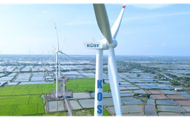 Cổ phiếu tiếp tục giảm sàn, Kosy giải trình gì?