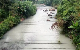 Nước sông Cầu đổi màu bất thường, đục như nước vo gạo