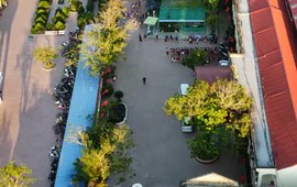 Hải Phòng siết chặt an toàn học đường sau vụ học sinh lớp 1 tử vong