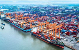 Hải Phòng tận dụng lợi thế cửa ngõ logistics, đưa doanh nghiệp lên Amazon để bán hàng toàn cầu