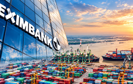 Chân dung đại gia cảng biển vừa xuất hiện tại Eximbank: Rót hơn 700 tỷ đồng vào cổ phiếu GEX và VIX, vay Eximbank 2.800 tỷ đồng, thâu tóm doanh nghiệp BĐS có nhiều dự án hợp tác với GELEX