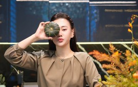Động thái mới nhất của Phương Oanh trước giờ Shark Bình hầu tòa