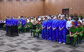 Nữ cán bộ hưu trí lặn lội từ TPHCM ra Hà Nội dự tòa, mong sớm lấy lại 20 tỷ bị Mr Pips chiếm đoạt