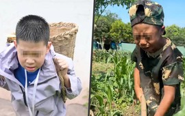 Không điện thoại, máy tính bảng: Cha mẹ Trung Quốc chi hàng nghìn tệ cho con ‘về quê’ chặt củi, đào khoai