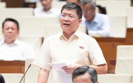 ĐBQH: Cần tháo gỡ việc 'cha mẹ muốn chia đất cho con nhưng vướng hạn mức đất ở'