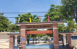 Thực hư việc giáo viên giao hơn 10 trang bài tập cho học sinh tiểu học