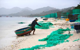 Bờ cát trắng hóa thảm phế thải từ lồng tôm hùm ở biển Khánh Hoà
