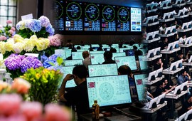 Kỳ lạ sàn giao dịch đấu giá hoa lớn nhất châu Á, 900 tay buôn không mặc cả, do dự nửa giây là ra về tay trắng