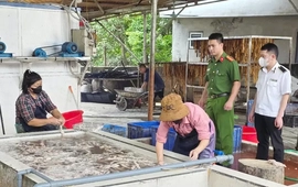 Phát hiện cơ sở kinh doanh hơn 3 tấn lòng lợn mốc và bốc mùi