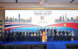 C.P. Việt Nam nâng cao AI trong quản trị chuỗi nông nghiệp - thực phẩm