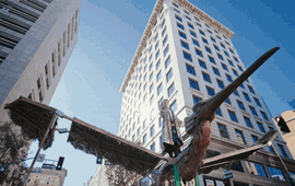 Sơn Tùng M-TP mất bao nhiêu tiền để chặn 1 ngã tư ở trung tâm Los Angeles quay mô hình chim Lạc?