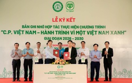 Từ 1,5 triệu cây xanh đến bài toán hợp tác công - tư trong trồng cây, phục hồi rừng