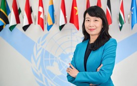 Lần đầu tiên trong suốt 30 năm: Nữ PGS Việt Nam trúng cử Thẩm phán Tòa án Luật Biển Quốc tế