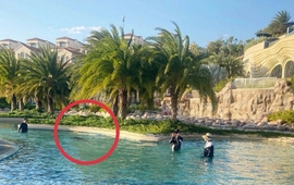 4 năm sau vụ bé trai người Nhật tử vong ở resort 5 sao Mũi Né: Công an tuyên bố phục hồi điều tra