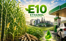 Phủ sóng xăng E10: Cơ hội biến cây sắn, ngô, mía thành 'mỏ vàng' của nền kinh tế xanh