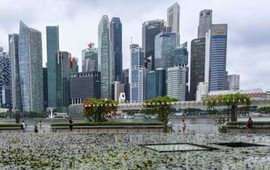 Quốc gia ĐNÁ tham vọng kiến tạo phiên bản châu Á của BlackRock, canh bạc đã vượt qua biên giới 6 triệu dân
