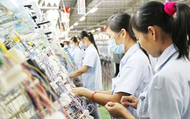 80 triệu lao động ở ASEAN chịu tác động vì AI
