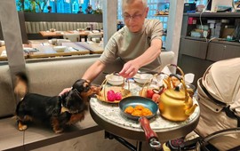Khách cho chó cùng ăn trên đĩa nhà hàng cao cấp gây làn sóng sợ hãi ở Hong Kong