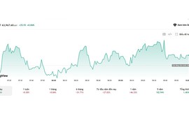 Tình hình bitcoin sau cú lao dốc 28%