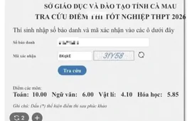 Vụ phản ánh gian lận thi tốt nghiệp ở Cà Mau: Học sinh thừa nhận, sẽ hủy kết quả thi