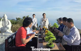 Mở tour nơi tỷ phú Bill Gates thưởng trà: Vì sao chỉ đón 6 khách?
