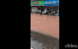 900 con rắn sổng chuồng trong cơn lũ lịch sử ở Trung Quốc: Đã có nạn nhân bị rắn cắn tử vong