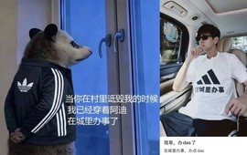 Từ lỗi dịch AI "quê mùa" thành cú nổ doanh số: Chiêu xử lý khủng hoảng đáng vào giáo án dạy truyền thông của adidas Trung Quốc