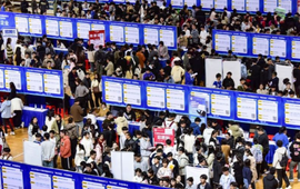 67 triệu người trẻ đang thất nghiệp: ILO cảnh báo nguy cơ khủng hoảng việc làm thanh niên