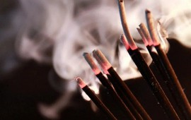 5 thứ trong nhà hít nhiều "phá phổi" còn nhanh hơn khói thuốc