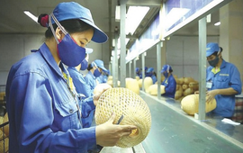 Chiếm 94% số doanh nghiệp Việt Nam, nhưng chỉ hơn 20% doanh nghiệp vừa và nhỏ tiếp cận được vốn vay
