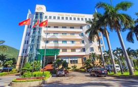 Đại gia ngành gỗ Việt chi triệu đô lập công ty tại Mỹ