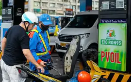 Đầu mối xăng dầu lãi lớn: Do điều hành giá có lợi cho doanh nghiệp?